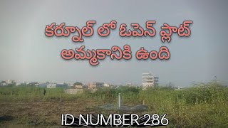 ID NUMBER 286 open plot for sale location Kurnool [upl. by Tegdirb838]