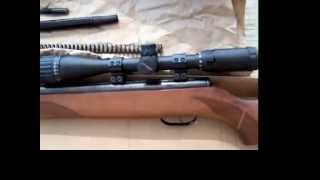 Gamo Hunter Extreme Tuned 177 [upl. by Athey]