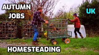 Learning New Skills  Autumn Homesteading  UK [upl. by Sile690]