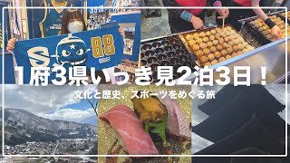 1府3県いっき見国内旅行2泊3日おすすめプラン！【白川郷・下呂温泉・三井寺・なんば】 [upl. by Irvin]