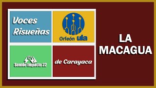 ULA Orfeón y Voces de Carayaca  LA MACAGUA [upl. by Hetti]