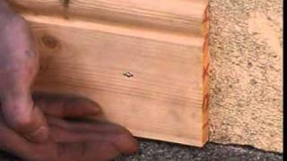 Skirting Board installation using Fast Flex [upl. by Akram]