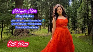 Nobujei Monn  Mangali Chakma  Official Romantic Chakma Song 2024 KritamCreation143 [upl. by Yleoj]