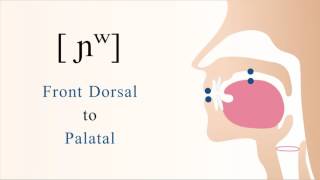 ɲʷ  voiced labialized front dorsal palatal nasal stop [upl. by Evvie]