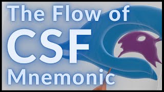 Flow of CSF  MADE EASY [upl. by Thea712]