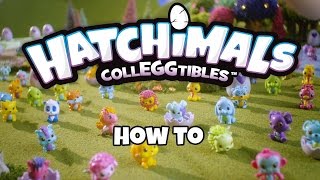 Hatchimals Colleggtibles  How To Video [upl. by Mannos417]