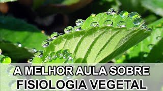 A MELHOR AULA SOBRE FISIOLOGIA VEGETAL [upl. by Kcirednek509]