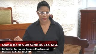 Bill to establish Business Barbados being debated in Senate [upl. by Sokin]