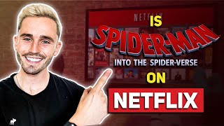 How to Watch the SpiderMan Movies on Netflix Online From Anywhere [upl. by Adnorahc]