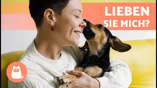 Bin ich die LIEBLINGSPERSON meines HUNDES 🐶❤️👱🏻‍♀️ 6 Möglichkeiten es herauszufinden [upl. by Vigen]