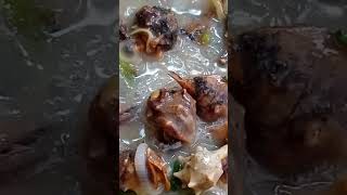 SEA SNAILS CAÑAILLAS in Heavy COCONUT Cream shortvideo shortfeed asmr shorts [upl. by Bigelow]