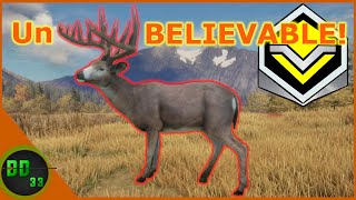 I found an Amazing New Method for finding Diamond Whitetails Call Of The Wild [upl. by Lopez425]