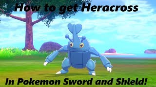 How to get Heracross in Pokemon Sword and Shield [upl. by Strain988]