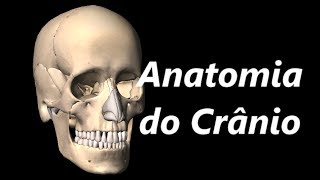 Anatomia do Crânio em 3D [upl. by Acenahs]