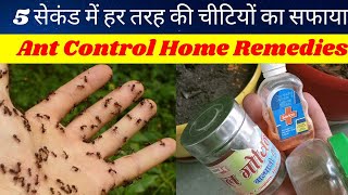 get rid ants Faster from garden 🐜 चींटियों का सफाया मिनटों में। [upl. by Aihtnyc]