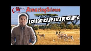 ECOLOGICAL RELATIONSHIPS [upl. by Eninahs885]