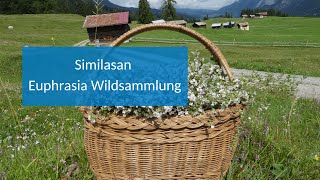 Similasan Euphrasia Wildsammlung [upl. by Ailecec]