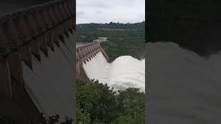 Srisailam dam gates opening  srisailam [upl. by Spector]