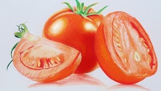 Tomato speed drawing  Prismacolor Pencils [upl. by Spindell]