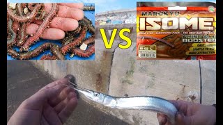 Needlefish fishing  Live Sandworm vs Marukyu Isome  Заргана на морски червей или изкуствен червей [upl. by Lansing]