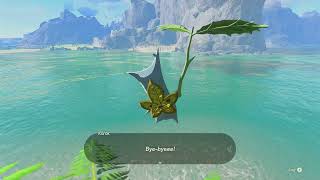 Korok Seed 650 Soka Point  The Legend of Zelda Tears of the Kingdom [upl. by Ilrebmik]