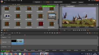 TUTORIAL  Pinnacle Studio 2 Cámara lenta y rápida y zoom [upl. by Clova519]