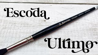 Escoda Ultimo  Watercolor Brush Review Ep 5 [upl. by Eneroc]