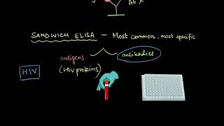 ELISA  Biotechnology and its Applications  Biology  Khan Academy [upl. by Nafri]