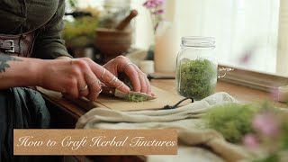 All About Crafting Tinctures  Herbal Medicine Making  How to Guide [upl. by Wassyngton695]