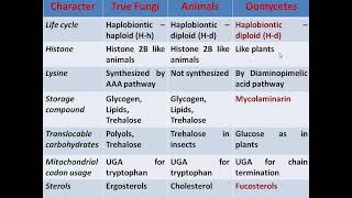 Oomycetes and True Fungi by Dr Vartika [upl. by Ibot]