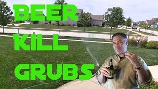 Does Beer Kill Grub Worms in the Lawn [upl. by Edea18]