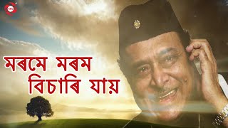 Mur Morome Morom Bisari Jai  Dr Bhupen Hazarika  Morome Morom Bichare  Exclusive Lyrical Video [upl. by Idahs]