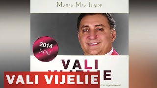 VALI VIJELIE  CAND IN DRAGOSTE NAI VINA HIT NOU 2014 [upl. by Eeryk]