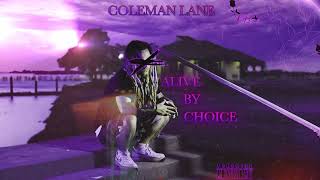 Coleman Lane  Problems Official Audio [upl. by Pollyanna780]