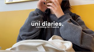 📂uni diaries cramming for 3 exams in 24 hours exam week stress study vlog intense cramming [upl. by Znieh]