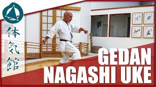 HOW TO GEDAN NAGASHI UKE  Shōtōkan Karate Technique by Fiore Tartaglia [upl. by Rosalind]