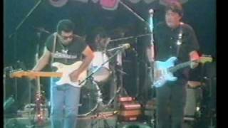 Los Lobos  Live in Germany 1987 part 2 [upl. by Brookner]