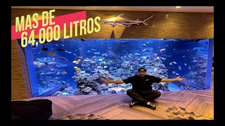 EL ACUARIO DE ESTA CASA ES EL MAS GRANDE DE AMERICA😱🐠🐠 [upl. by Hermosa]