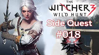 Witcher 3 Wild Hunt  Side Quest 018  Fists Of Fury  Velen [upl. by Heydon]