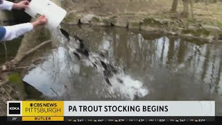 Pennsylvania begins trout stocking [upl. by Gerrald]