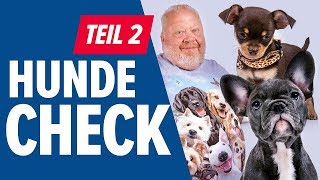 HUNDE CHECK Teil 2  NORBERT ZAJAC  Zoo Zajac Duisburg [upl. by Adnanref812]