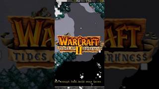 Juegos Para Tu Tostadora Warcraft 2 Tides of Darkness war2 warcraft2 warcraft wow [upl. by Breana431]