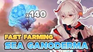 Sea Ganoderma All Farming Locations amp Best Routes  Genshin Impact [upl. by Enaj]