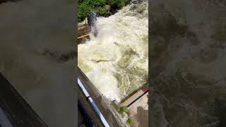 Erie Canal Lock 17 water release [upl. by Connett254]