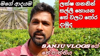 ලක්ෂ ගනන් සල්ලි හොයන තේ වලට පෝර දාමූ Shillong tea Sanju vlogs [upl. by Eno]