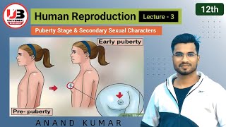 Human Reproduction L3  Class12  Puberty and Secondary sexual characters  UNIVERSAL BIOLOGY [upl. by Noek]