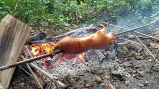 BOHOL LECHON best LECHON in philippinesfood lechonkawali lechonpaksiw [upl. by Church681]