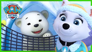 Pups Bring a Polar Bear Cub Back Home  PAW Patrol Episode  Cartoons for Kids [upl. by Rogerson]