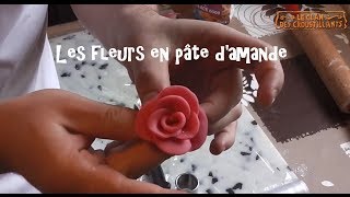 Comment réaliser des roses et jonquilles en pâte damande [upl. by Saidee441]