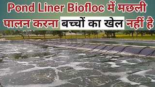 Pond Liner Fish Farming l पौंड लाइनर में मछली पालन करना आसान नहीं है l Biofloc Fish Farming l Fish [upl. by Einnaffit]